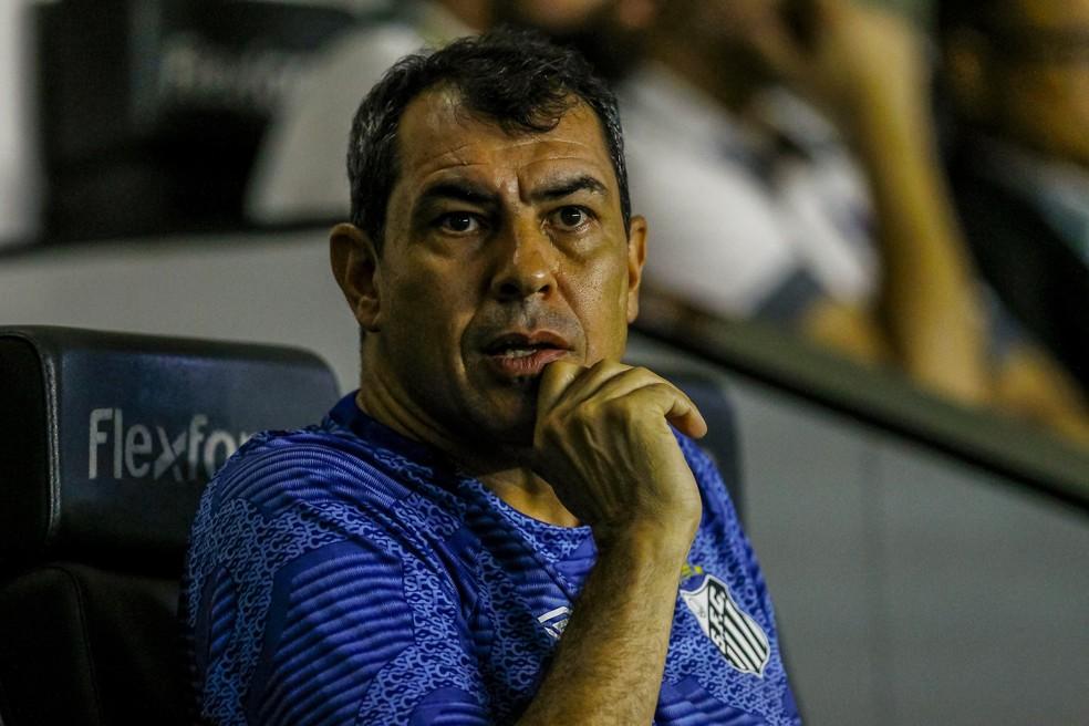 Fábio Carille, técnico do Santos, no jogo contra o Mirassol