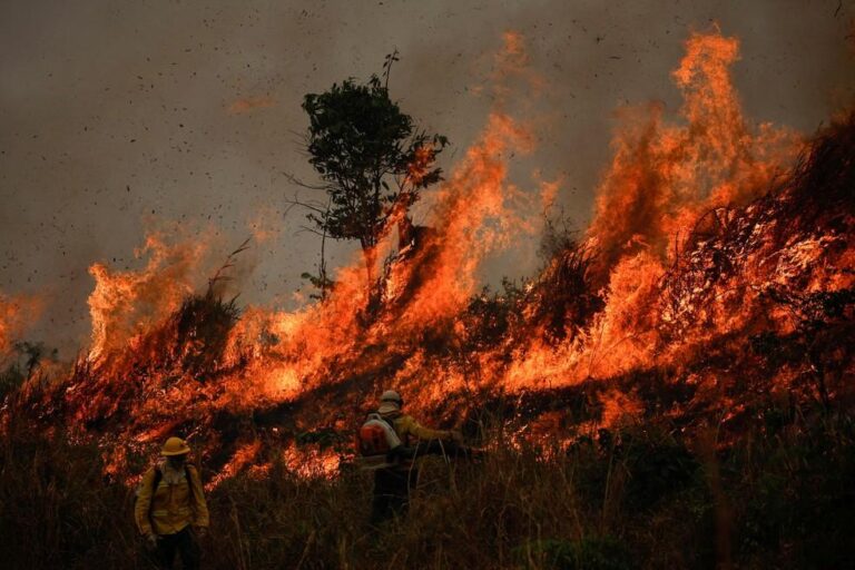 Queimadas na Amazônia e o Vestibular Unicamp 2025: O que você precisa saber!