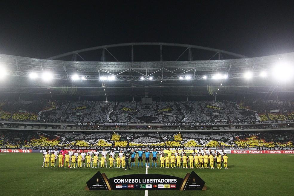 Mosaico do Botafogo contra a LDU