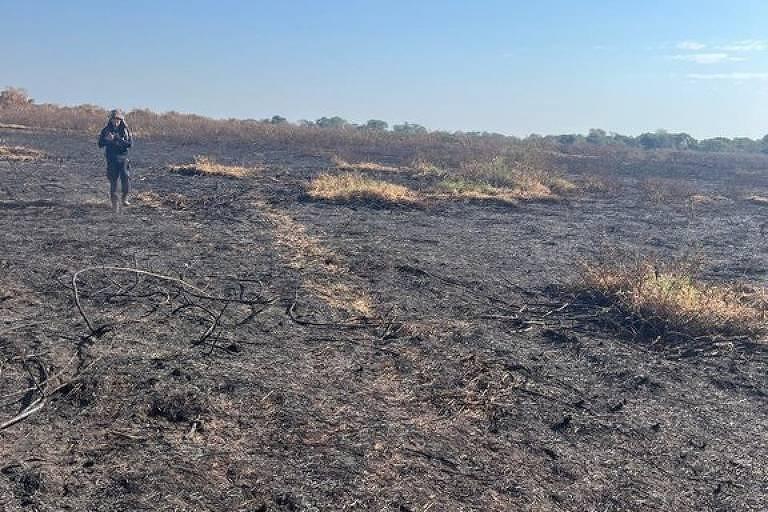 Polícia Federal Realiza Operação contra Incêndios Criminosos no Pantanal