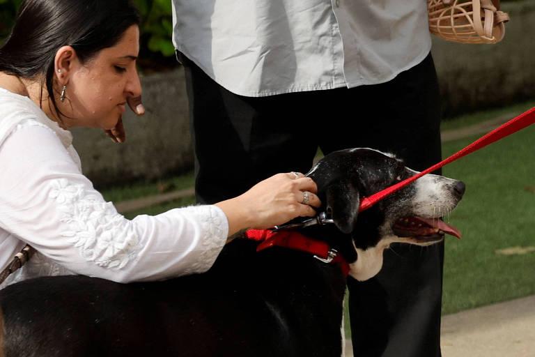 Bilionário indiano deixa fortuna de R$ 600 milhões para seu cachorro de estimação