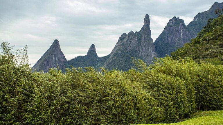 Previsão do Tempo no Rio de Janeiro: Atenção para chuvas e temperaturas amenas