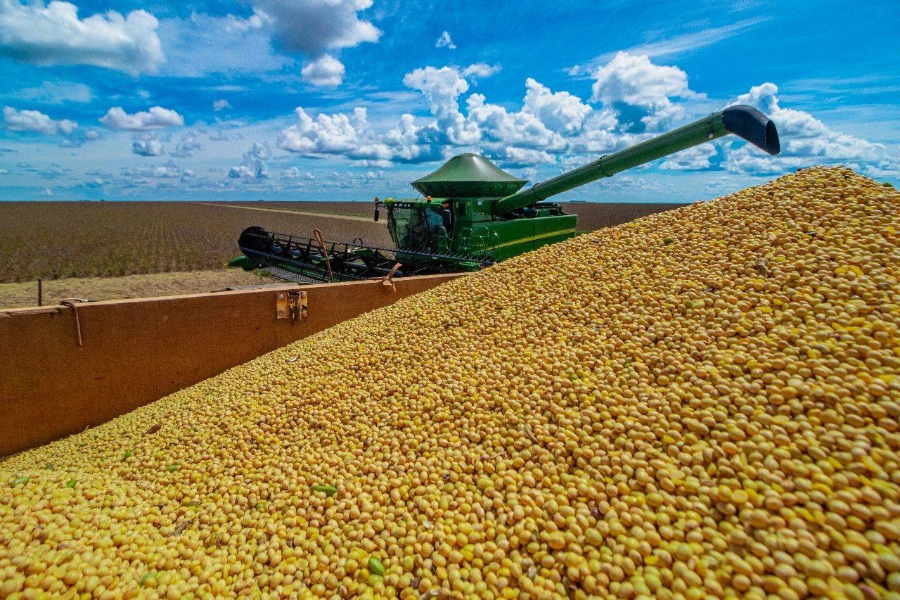 Abiove eleva previsão de produção de soja em 700 mil toneladas.