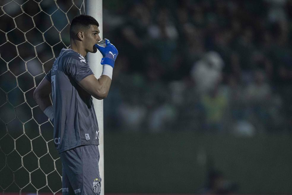 Gabriel Brazão em Goiás x Santos