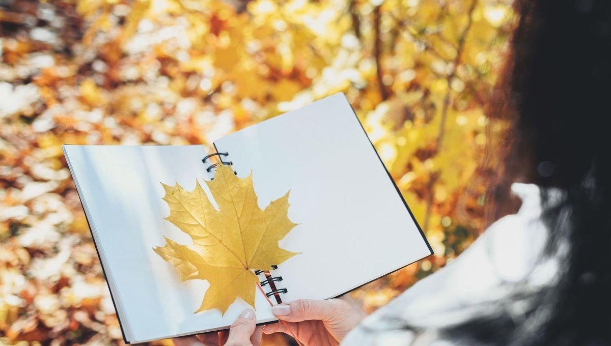 Agenda d'Automne para toda a família.