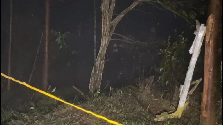 Avião de Pequeno Porte Cai em Santa Branca, SP, e Deixa Cinco Mortos