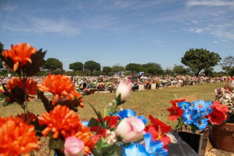 Busca por Flores Aumenta com a Aproximação do Dia de Finados em Araraquara