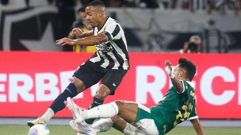 Palmeiras e Botafogo se enfrentam em duelo decisivo pelo Brasileiro