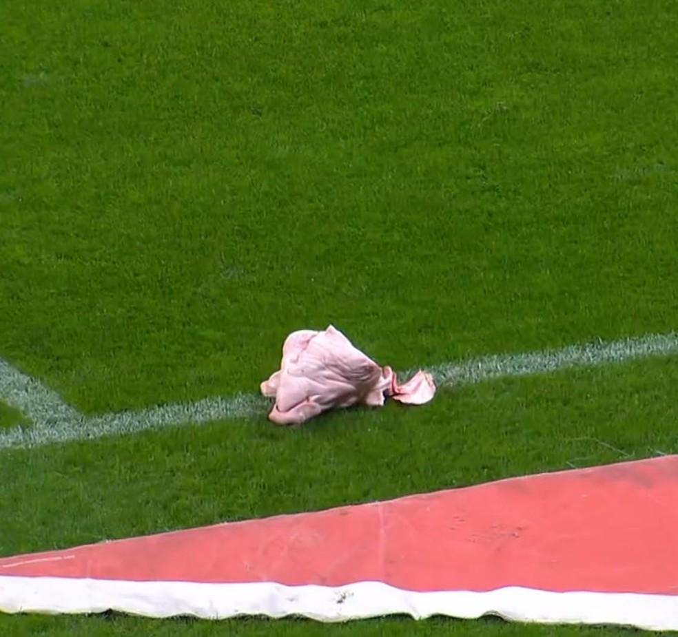 Cabeça de porco jogada no gramado do estádio do Corinthians