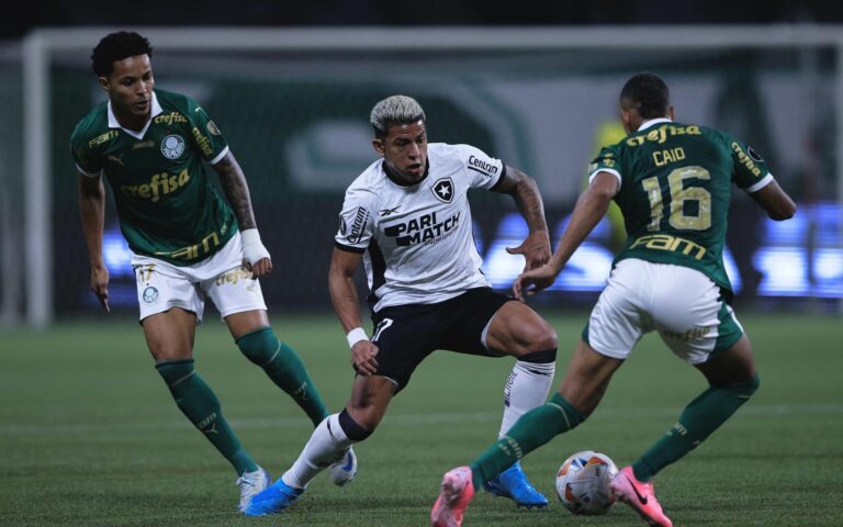 Palmeiras e Botafogo: Um Confronto Decisivo no Brasileirão