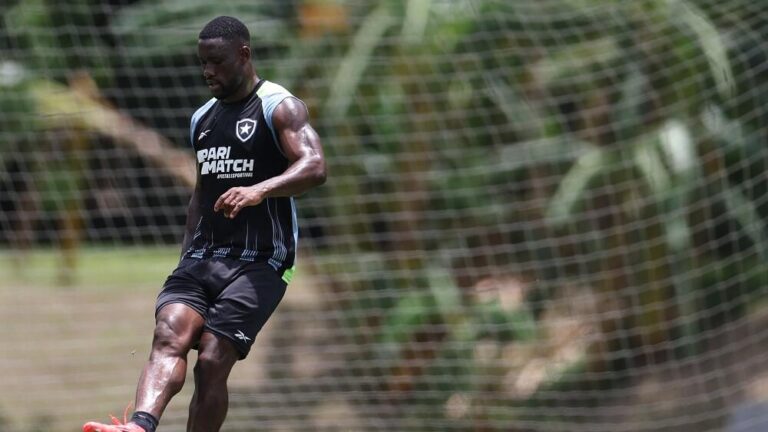 Botafogo se prepara para enfrentar o Cuiabá com força máxima na 33ª rodada do Brasileirão