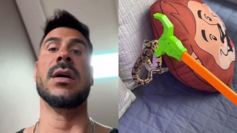 Júlio Rocha se assustou ao encontrar cobra na cama dos filhos