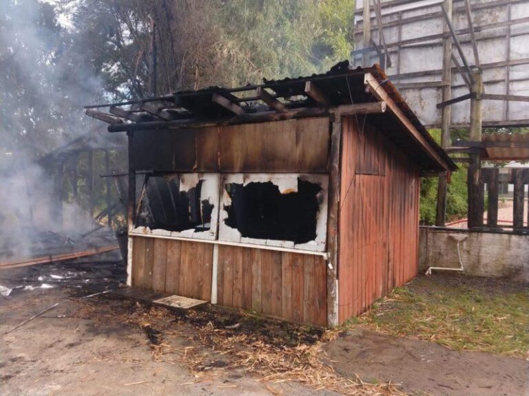 Incêndio na casa do autor das explosões no STF: ex-mulher é a principal suspeita