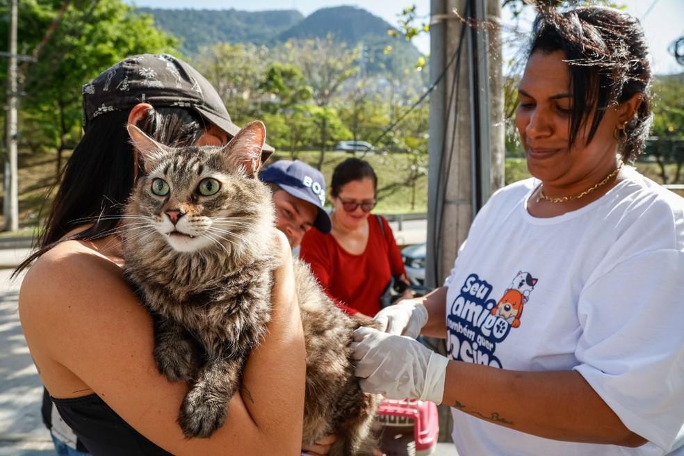 Rio encerra campanha antirrábica neste sábado