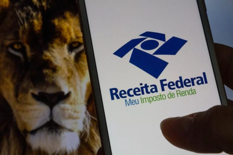 Como Consultar a Restituição do Imposto de Renda em 2024