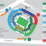 Palmeiras se prepara para “final” contra Botafogo com alterações no Allianz Parque