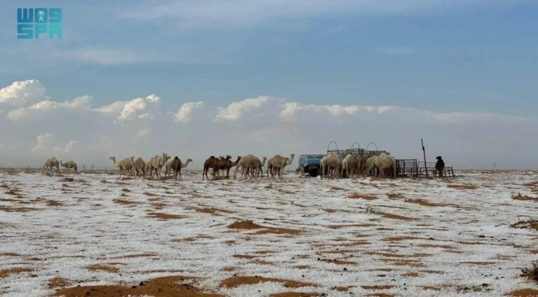 Deserto na Arábia Saudita Registra Neve pela Primeira Vez na História