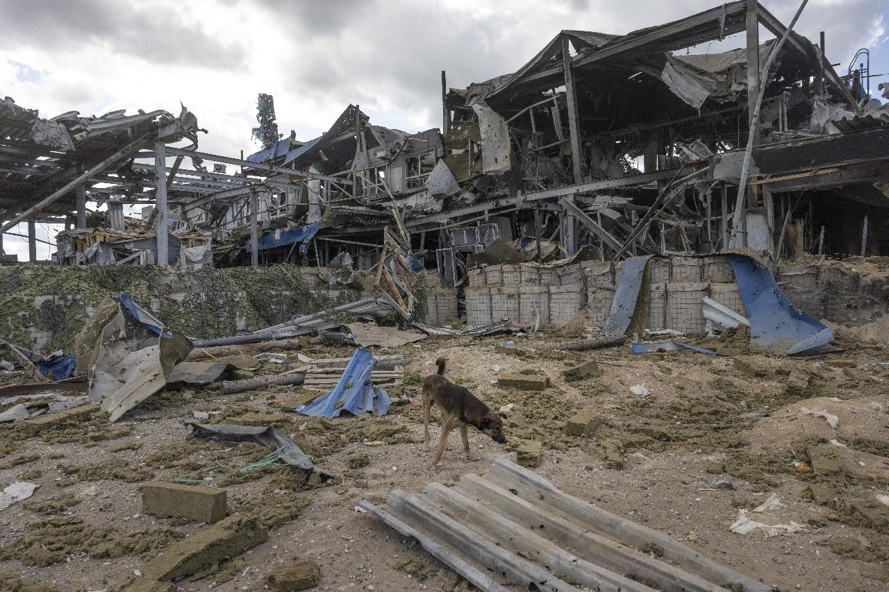 Cão de rua caminha pelos destroços do posto de fronteira russo destruído no Cruzamento de Sudzha, em Kursk.