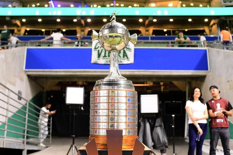 Palmeiras Se Garante na Libertadores 2025 e Abre Vaga para a Inter de Limeira