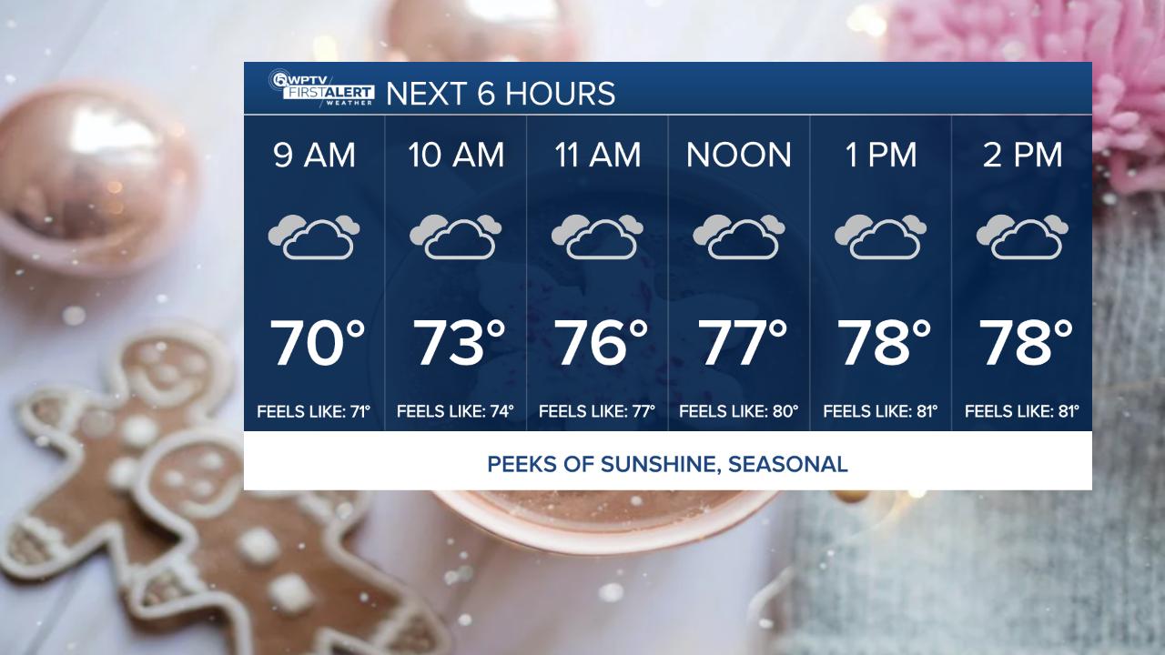 Hourly Planner 4-6PM SHOWS - Feels Like