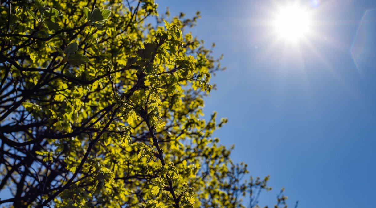 O solstício de verão marca o dia mais longo do ano neste sábado (21).