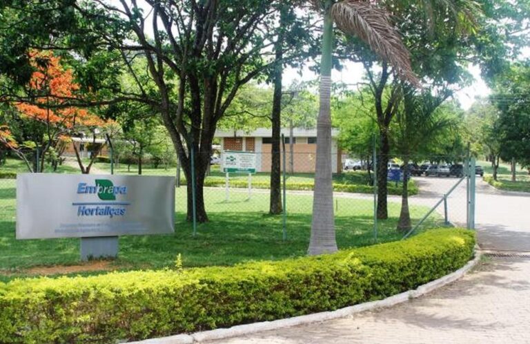 Embrapa Anuncia Concurso Público com 1.027 Vagas e Salários de Até R$12,8 Mil