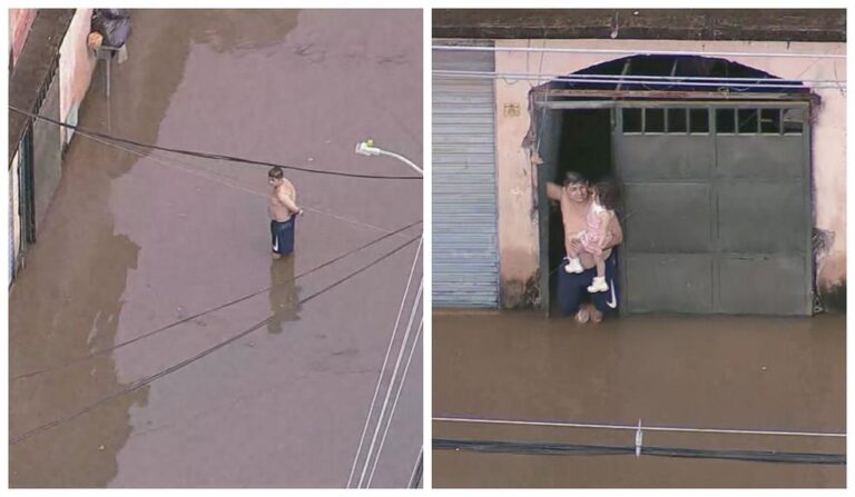 Fortes Chuvas em São Paulo Provocam Alagamentos e Emergência, Deixando Famílias e Animais Ilhados