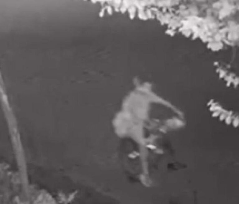 Desaparecimento de Menino em Assis Mobiliza Ação de Busca e Solidariedade