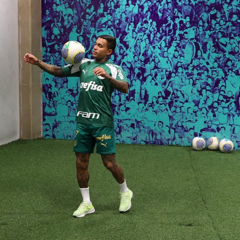 Palmeiras se programa para 2025: Abel Ferreira fala sobre reforços e futuro de Dudu e Rony