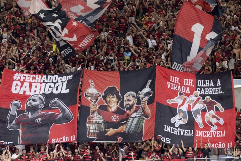 Brasileirão 2024: O Torneio com a Segunda Maior Média de Público da História