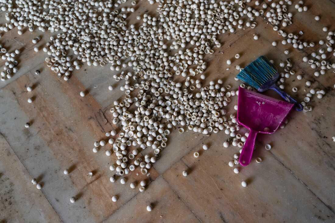 Pill holders are scattered across the floor in the building where Captagon was being made under Assad's regime.