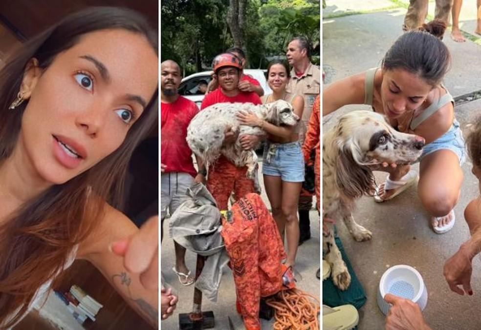 Cachorro de Anitta some durante ceia e é resgatado pelos Bombeiros