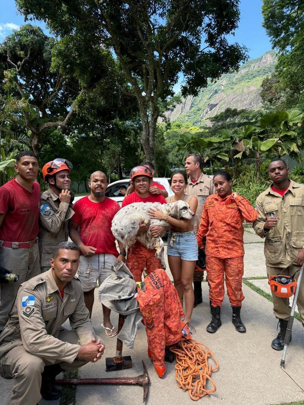 Bombeiros resgatam cachorro da cantora Anitta no Rio