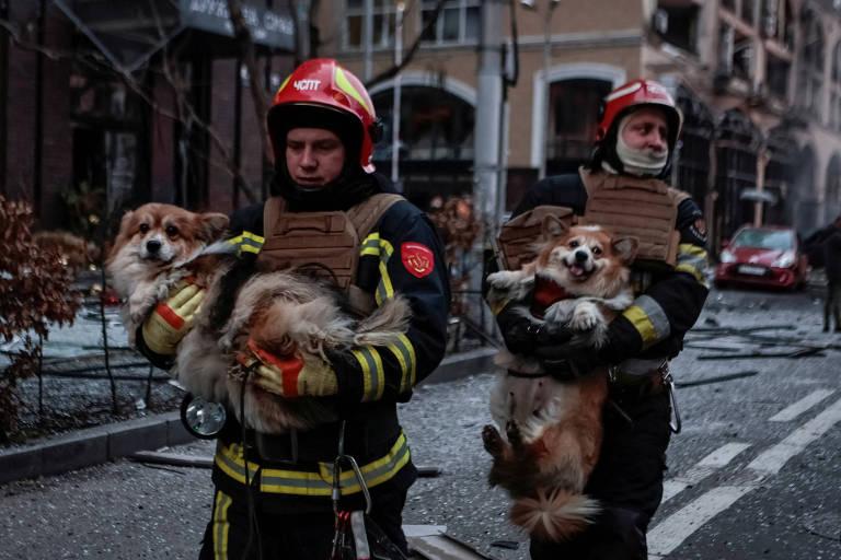 Dois bombeiros carregam dois cachorros pra longe de área com destroços.