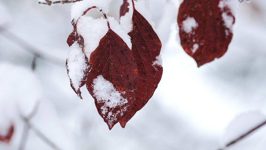 A neve sévit encore en Occitanie, ce mercredi 11 décembre: plusieurs départements sont en vigilance jaune.