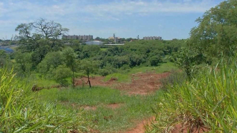 Área de mata onde corpo de Mateus foi encontrado