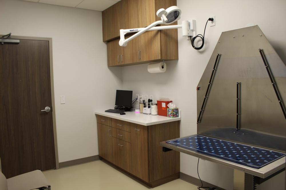 Buda Veterinary Care features six exam rooms and has separate cat and dog entrances.