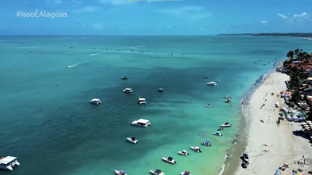 É possível fazer passeios em Maragogi durante todo o ano, mas a água do mar fica mais cristalina entre setembro e março