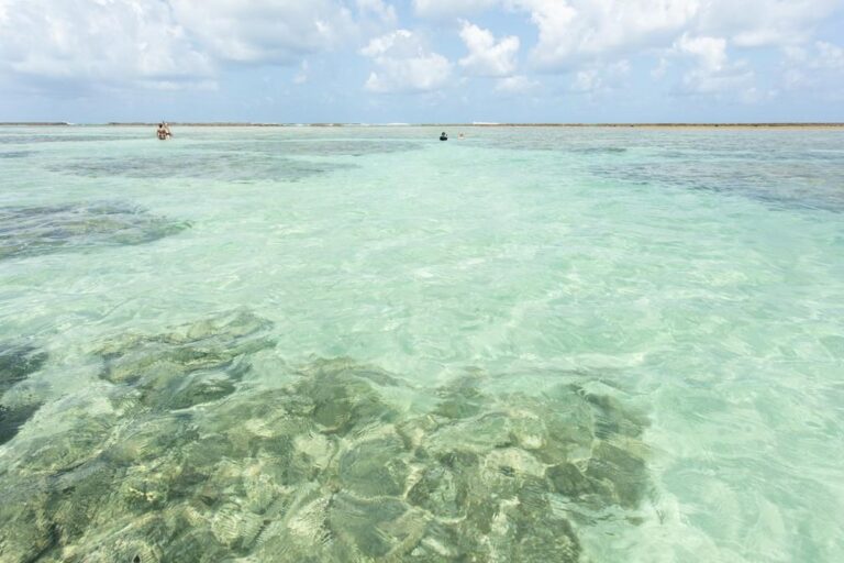 Tragédia nas Piscinas Naturais de Maragogi: Catamarã Afunda e Deixa Um Morto