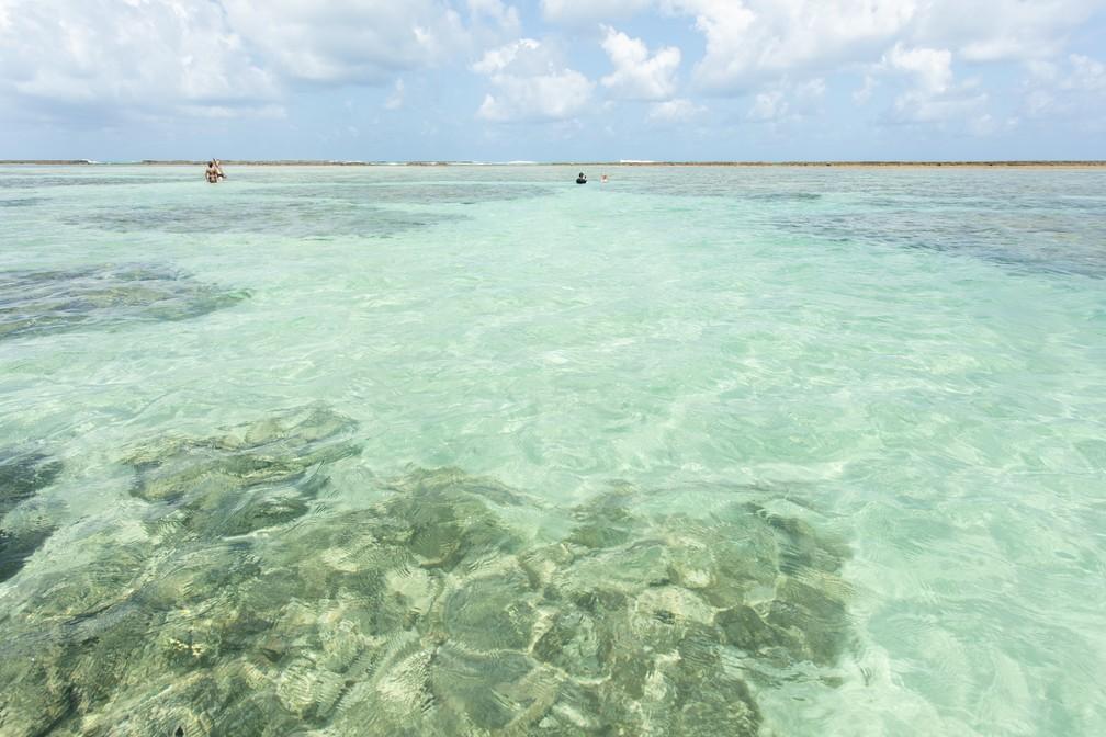 Piscinas naturais de Maragogi, em Alagoas: mar transparente e sem ondas