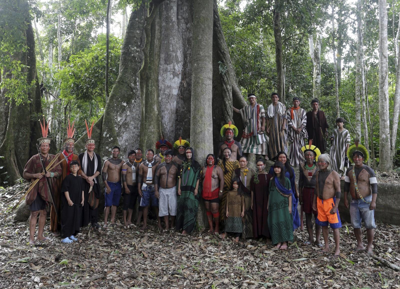 Indígenas ashaninka posam com seus parentes kayapós aos pés de uma sumaúma, árvore sagrada da floresta