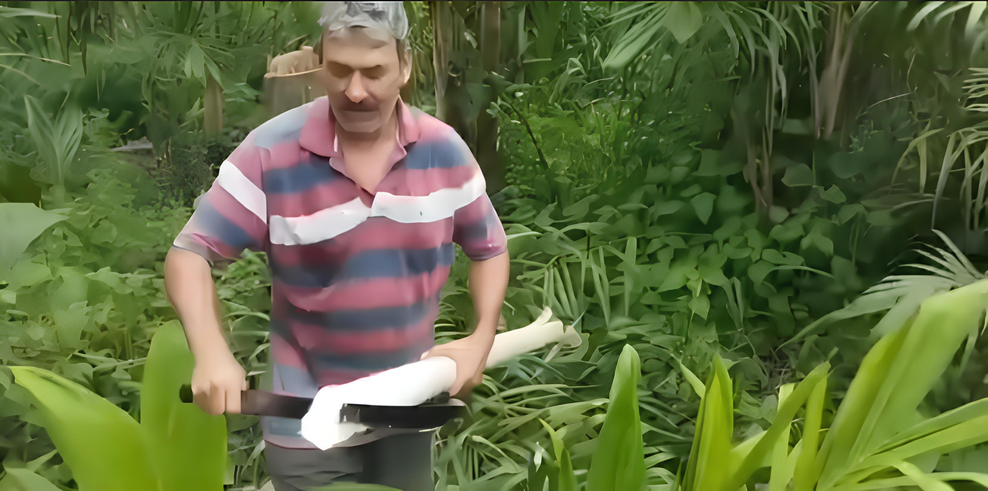 Homem com facão e palmito nas mãos.