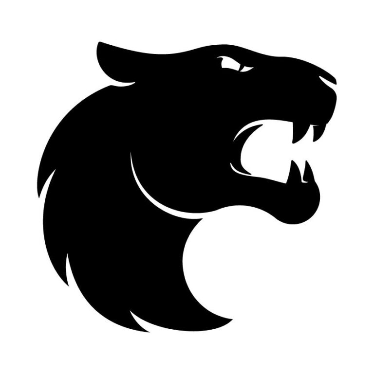 FURIA sofre derrota contundente para a NAVI na IEM Katowice 2025