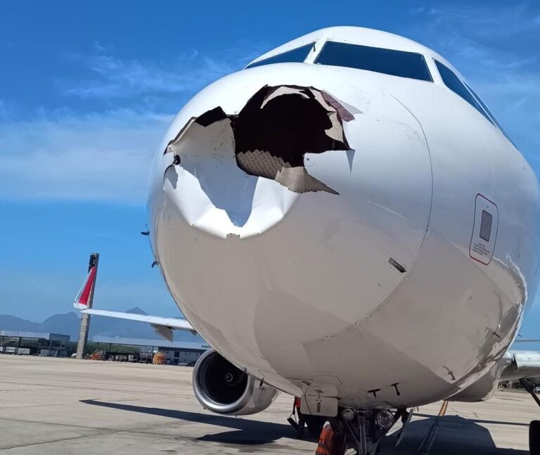 Colisões entre Aviões e Aves: O Que Aconteceu no Galeão e as Medidas Adotadas