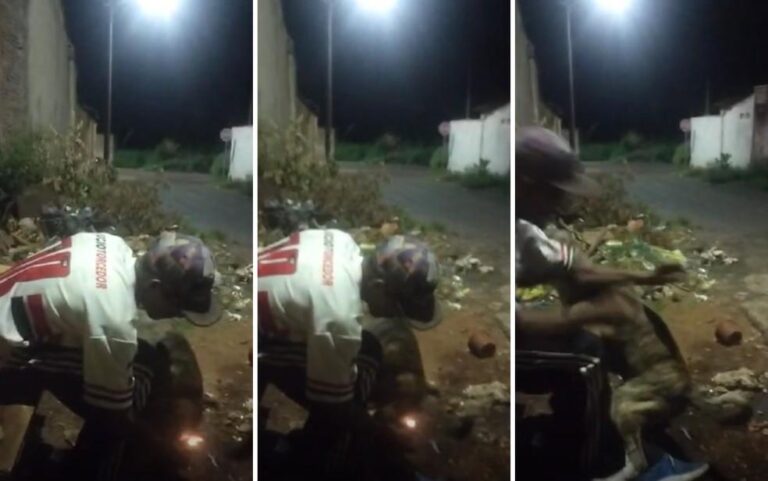 Cachorro sofre abuso em Barretos após ser queimado com isqueiro