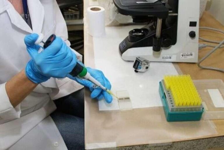 Biomedicina da UFPR se destaca como o curso mais concorrido do Sisu 2025