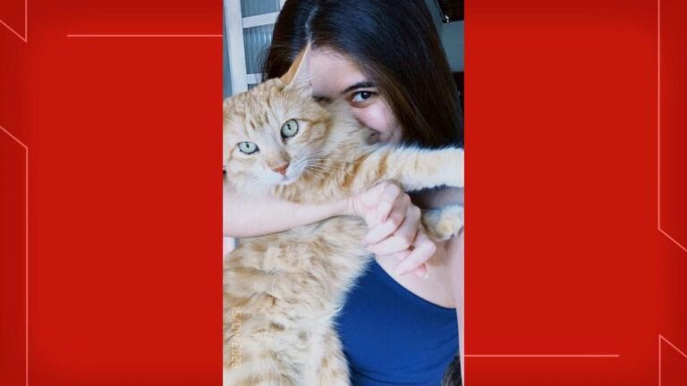 Dia do Gato: Celebrando a Companhia dos Felinos e Cuidados Essenciais