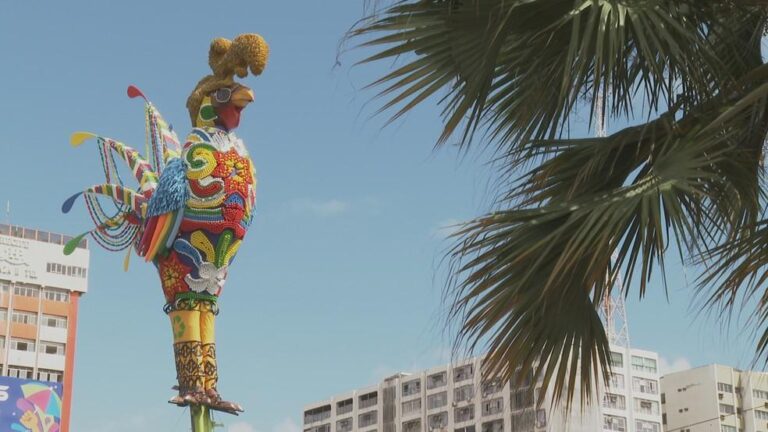Galo Gigante Completa 30 Anos de História e Tradição no Carnaval do Recife