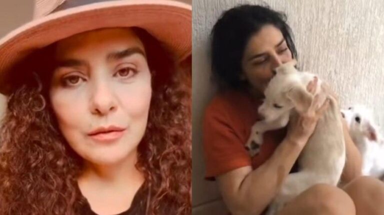 Polêmica de Adoção de Cães: Letícia Sabatella e Veterinária Rompem Amizade