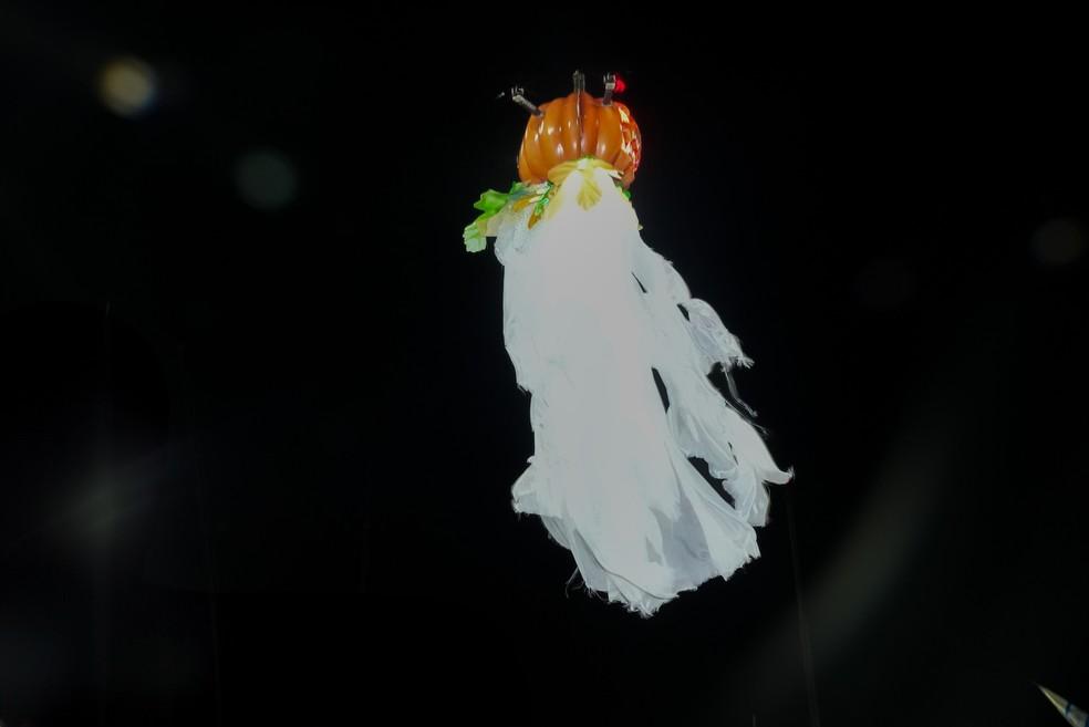 Abóbora voadora na Vila